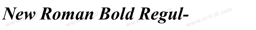 New Roman Bold Regul字体转换